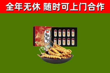 嵩市烟酒回收冬虫夏草礼盒.jpg